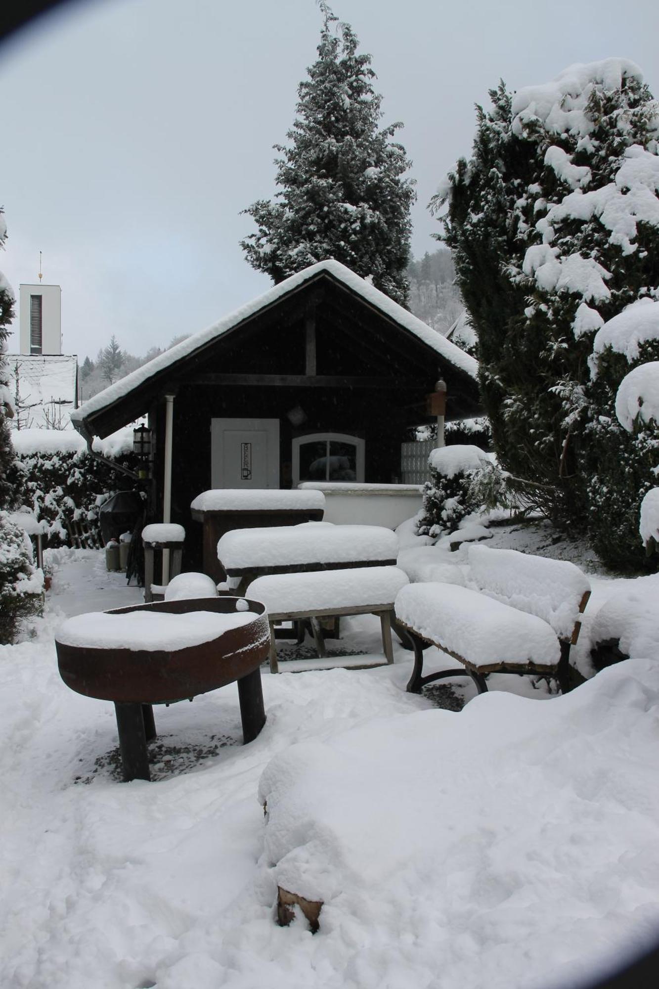 Ferienhaus Winterberg Fuer 12 Personen Sauna Garten Garage Hund Екстериор снимка